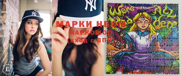 гашик Балахна