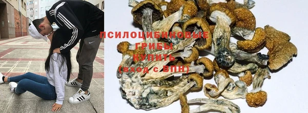 гашик Балахна