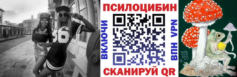 мега tor  Переславль-Залесский  Галлюциногенные грибы Psilocybine cubensis 
